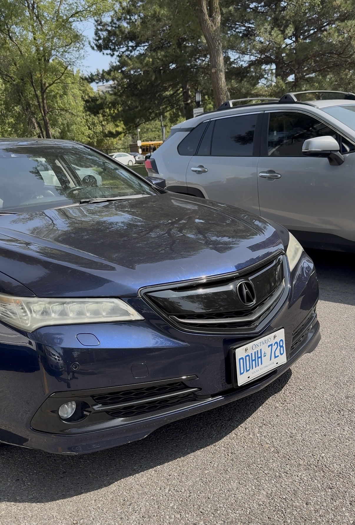 Acura TLX Chrome Blackout